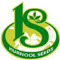 Kurnool Seeds