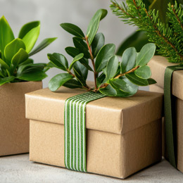 Eco-friendly corporate gifts